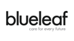 Blueleaf